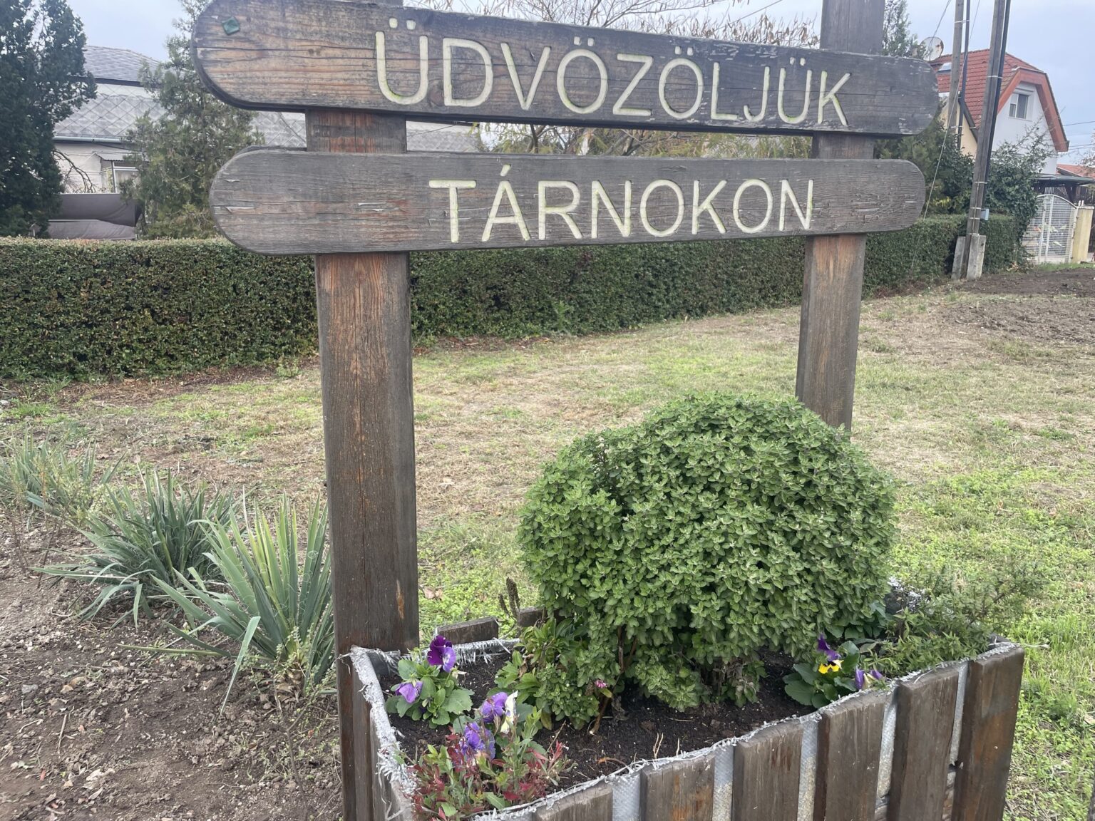 Virágba borult Tárnok