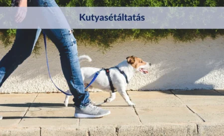 Kutya sétáltatás szabályai
