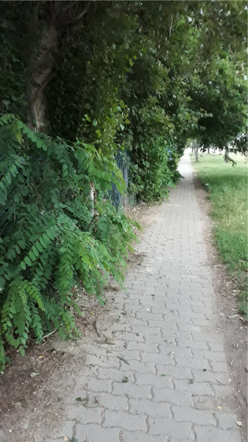 Karbantartási kötelezettségek